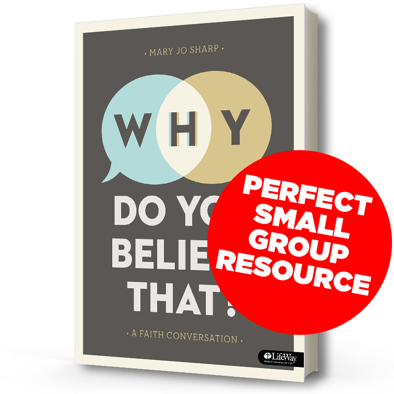 Why Do You Believe That? | Mary Jo Sharp